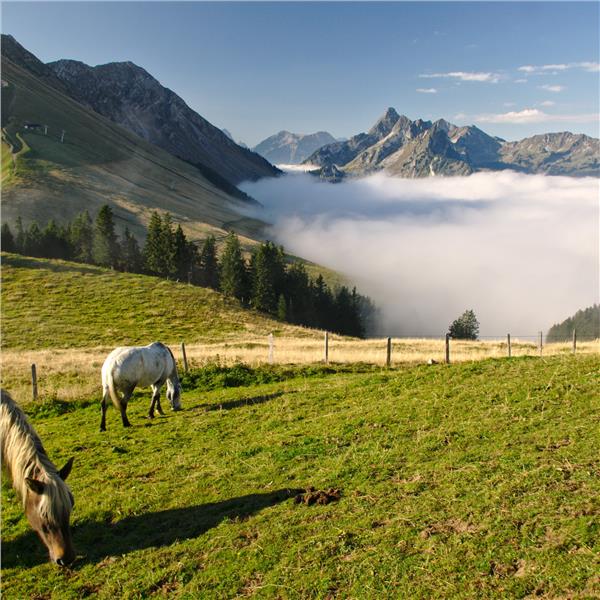 İzmir'den Uçaklı 6 Gece 7 Gün Konaklamalı Fransa İsviçre Almanya Rüyası Turu