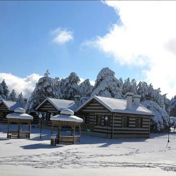 9 Şubat Pazar Nazarköy Kemalpaşa Kımız At Çiftliği, Spil Turu