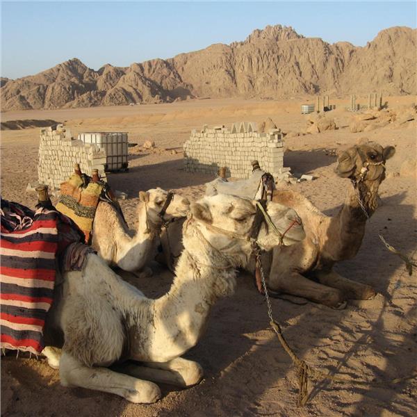 İzmir'den Uçaklı 7 Gece 8 Gün Konaklamalı Mısır, Nil Nehri Fenomenleri ve Sharm Turu