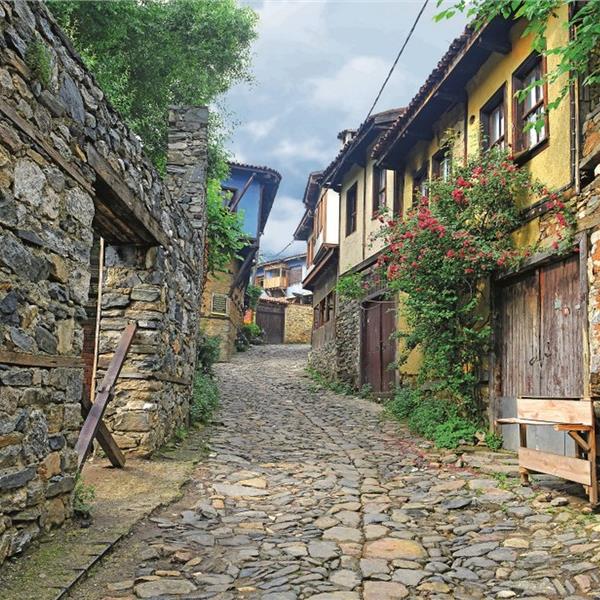 İzmir Çıkışlı Günübirlik Bursa Cumalıkızık Gölyazı Turu Üstelik Kahvaltı Dahil