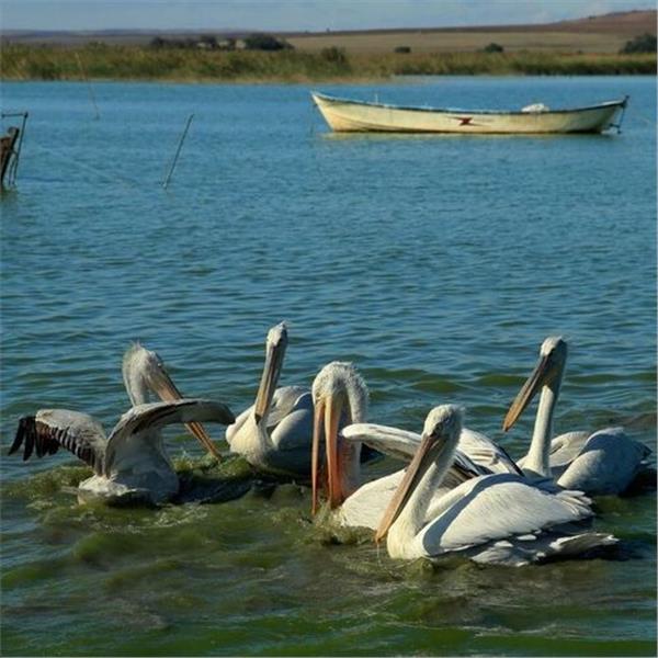 İzmir'den Kalkışlı 1 Gece 2 Gün Konaklamalı Erdek Avşa Turu