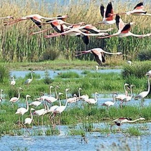 İzmir'den Hareketli Ramazan Bayramı Özel 2 Gece 3 Gün Konaklamalı Erdek Avşa Turu