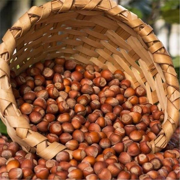 İzmir'den Hareketli 7 Gece 8 Gün Konaklamalı Boydan Boya Karadeniz Rüyası ve Batum Turu