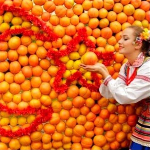 İzmir'den Uçak İle Hareketli 2 Gece 3 Gün Konaklamalı Adana Portakal Çiçeği Festivali