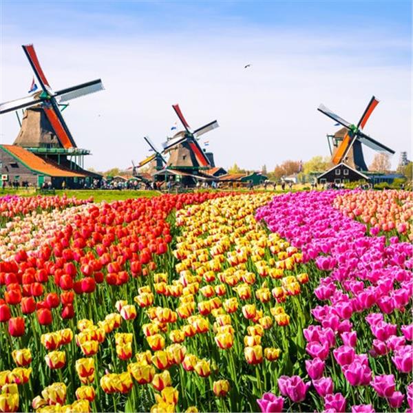 İzmir Uçak İle Hareketli 7 Gece 8 Gün Konaklamalı Benelüx Paris Turu