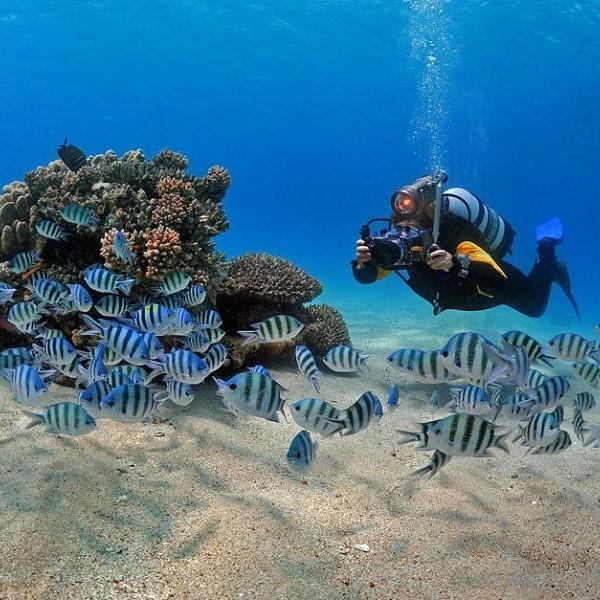 İzmir'den Otobüslü 4 Gece 5 Gün Konaklamalı Aktiviteli Marmaris Bodrum Datça Turu 