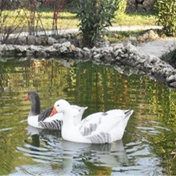 ATV Safari-Yemek Menü